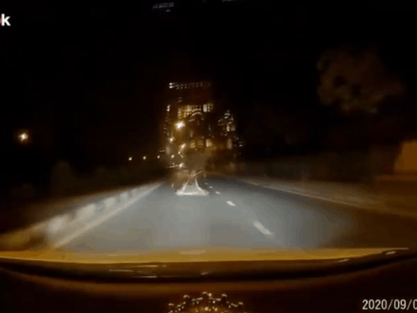 Video: Phóng nhanh bỗng gặp vật lạ giữa đường, tài xế có pha xử lý khiến người xem thốt lên 'lụa quá'