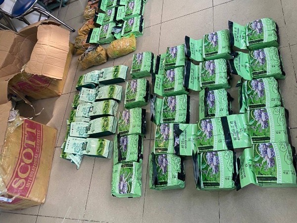 Gần 50 kg ma túy trong các thùng trái cây đưa về Việt Nam như thế nào?