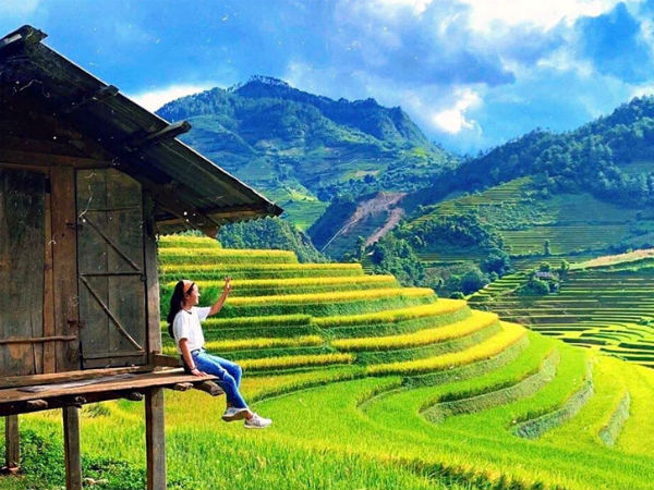 Thua lỗ trăm tỷ, giám đốc du lịch đi bán hoa quả, trà sữa