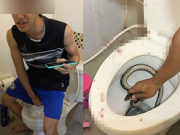 Tai nạn hy hữu của thanh niên ôm điện thoại trong toilet, đang say mê xem video bị 'bé Na hỏi thăm' ngay chỗ hiểm phải đi cấp cứu