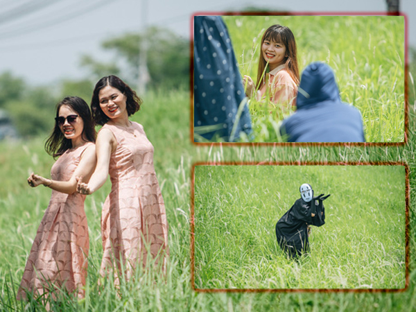 Triền đê cỏ tranh trắng muốt ở Bắc Từ Liêm trở thành điểm chụp ảnh check-in thu hút người dân Hà Nội