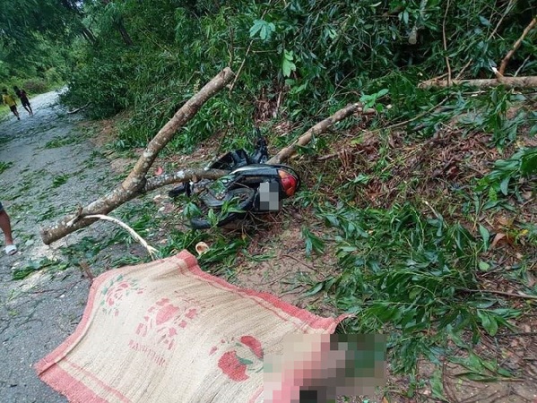 Bão số 5 khiến 23 người bị thương, 1 người đàn ông đi xe máy bị cây đè tử vong