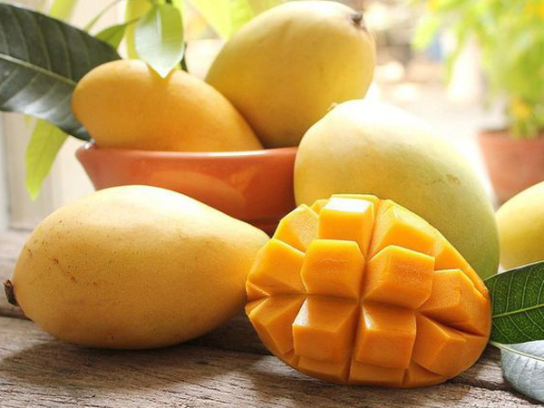 Quả xoài giúp làm đẹp, ngừa ung thư, nhưng tuyệt đối không kết hợp với những thực phẩm này