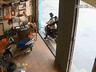 Video: 7 giây câu trộm chó dã man, vẻ bình thản của kẻ xấu khiến tất cả bức xúc
