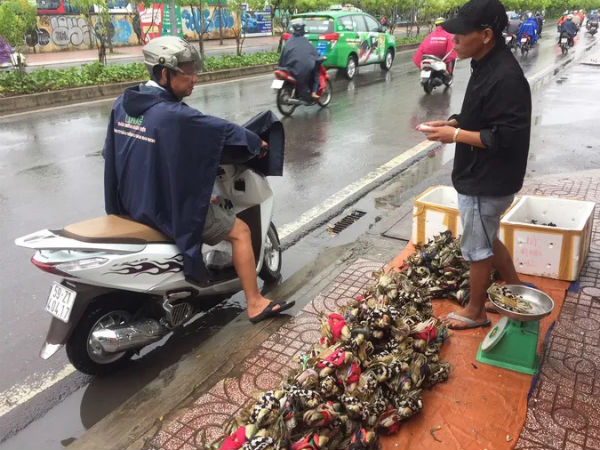 Thực hư cua Cà Mau 50.000 đồng/3 con bán đầy đường, 'bao ăn'