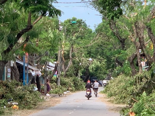 Bị cây gãy do bão đè trúng, chuyên viên phòng giáo dục tử vong