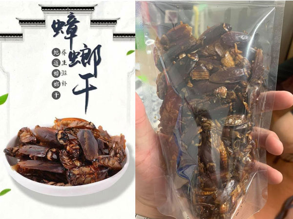 Một cửa hàng online rao bán snack 'gián sấy khô' gây ám ảnh, nghĩ đùa thôi nhưng khi vào xem thành phẩm dân mạng tá hỏa chỉ muốn thoát ra