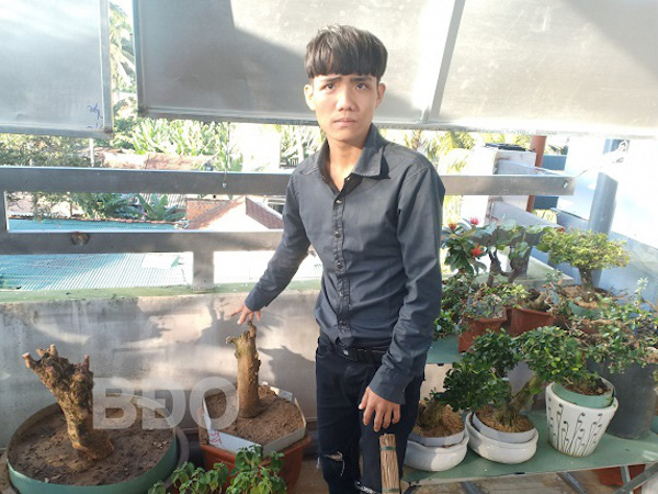 Truy tố nhóm đối tượng thực hiện 28 vụ trộm cây cảnh theo 'đơn đặt hàng'