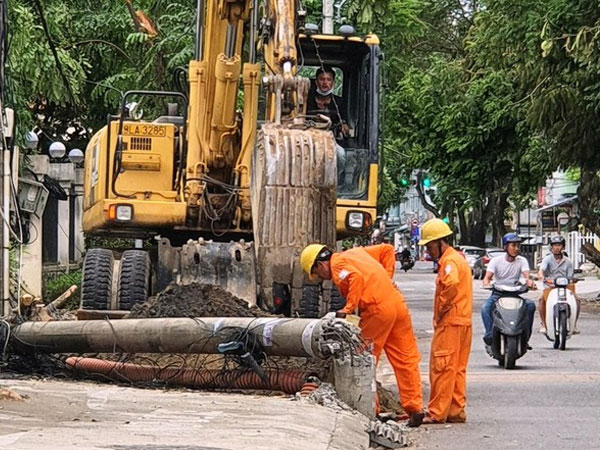 Hàng loạt cột điện gãy đổ trong bão số 5 là do cây xanh ngã đổ vào đường dây
