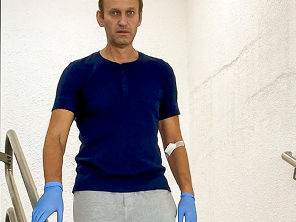Ông Navalny xuất viện, Nga chào đón về nước