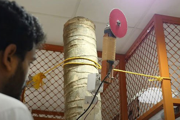Các nhà khoa học Ấn Độ phát triển thành công robot hái dừa, năng suất cao hơn cả con người