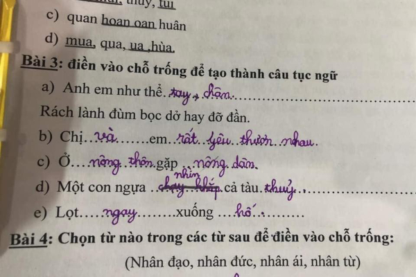 Học sinh lớp 1 điền thành ngữ 'bá đạo', câu cuối khiến cô giáo phải khen 'hay hơn cả bản gốc'