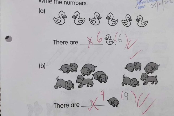 Đề bài Toán không rõ ràng, đáp án của học trò bị cô gạch nhưng cộng đồng vỗ tay nhiệt liệt