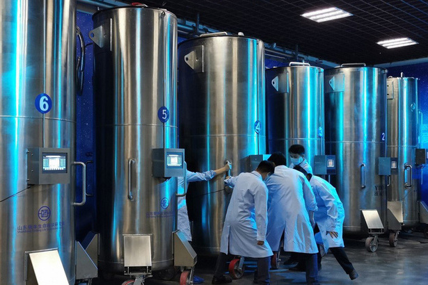 'Hồi sinh' người đã khuất sau 100 năm: Tham vọng lớn của y tế TQ đằng sau nghiên cứu lạ