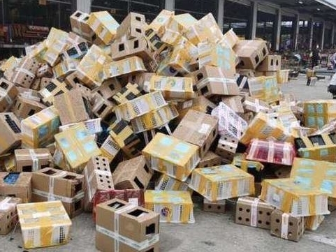 5.000 thú cưng chết trong hộp giấy đục lỗ ở Trung Quốc