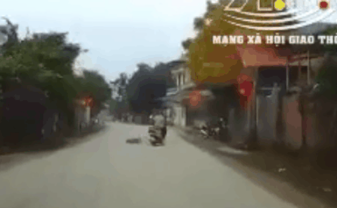 Video: Đâm trúng chú chó băng qua đường, người phụ nữ gặp tai nạn kinh hoàng