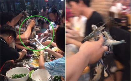 Thực khách xúm vào giành giật chậu tôm sống trong nhà hàng buffet, có người bốc cả nắm bằng tay không khiến dân tình ngỡ ngàng