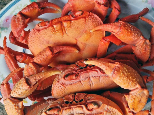 Cua núi đá ăn lá rừng: Đặc sản Hà Giang, ngon hơn cua biển