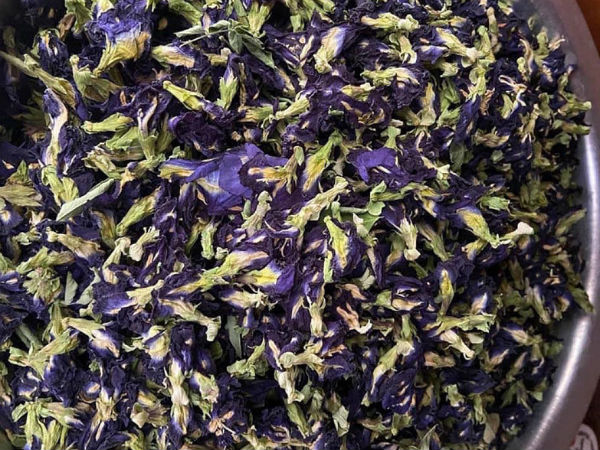 Hoa dại trước hiên nhà, sấy khô bán giá gần 1 triệu/kg