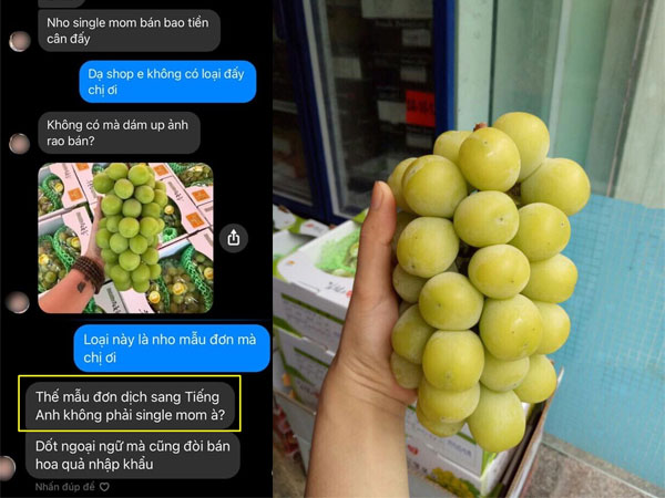 Bị mắng như tát nước vì bán hoa quả mà không biết nho 'single mom' là gì, chủ shop 'héo lời' khi nghe khách giải thích