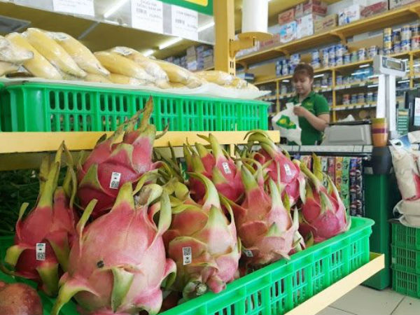 Vì sao Hưng Thắng Lợi Gia Lai 'tháo chạy' khỏi công ty bầu Đức?