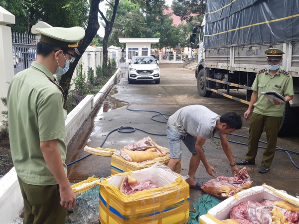 Đắk Lắk: Thu giữ 300kg thịt heo nái bốc mùi hôi thối