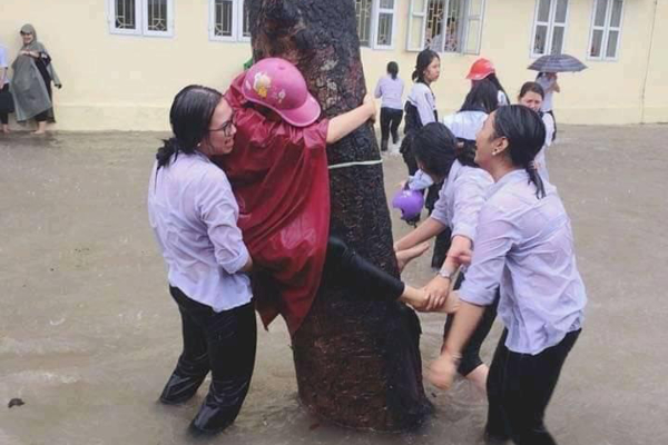 Ảnh bìa bài viết 709951