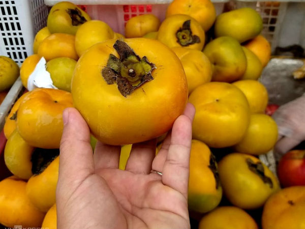 Hồng giòn Trung Quốc lấn át hàng Đà Lạt