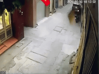 Video: Lao xe vào cửa nhà hàng xóm, người phụ nữ bị hất văng lên cao rồi ngã xuống đường