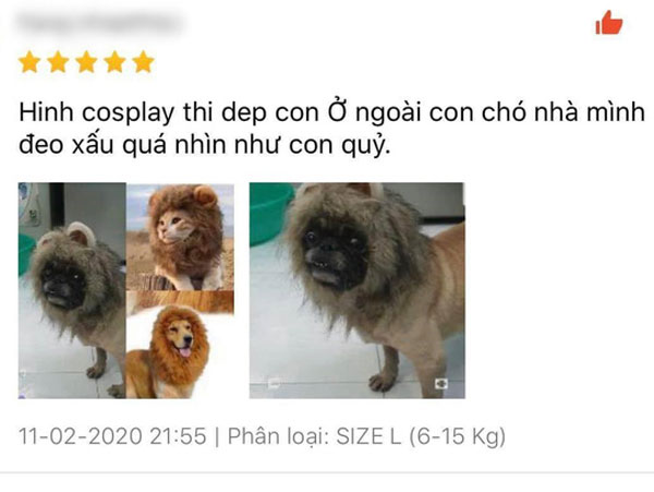 Bỏ 69k đặt mua 'bờm sư tử dũng mãnh' cho pet, khách hoảng hồn khi nhận sản phẩm về tay như đạo cụ phim kinh dị