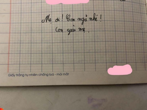 'Mẹ ơi, con ngủ nhé, con yêu mẹ' - lời tạm biệt của cô bé lớp 5 bị ung thư xương khiến tất cả rơi nước mắt