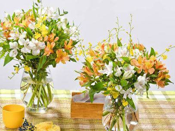 Muốn may mắn ghé thăm trong 3 tháng cuối năm, nhất định phải đặt loại hoa này trong phòng khách