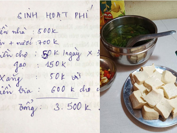 Chia sẻ bảng chi chỉ có 3,5 triệu/tháng cho 3 người, vợ trẻ bị chất vấn vì ăn uống kham khổ và 1 khoản bất hợp lý