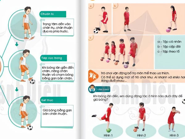 Phụ huynh 'choáng váng' với sách Giáo dục thể chất lớp 1 đầy thuật ngữ khó, nội dung bị nhận xét 'hoàn toàn phi thực tế'