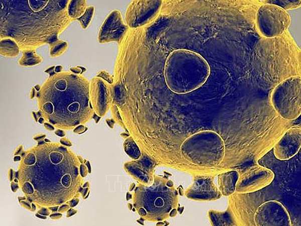 Nghiên cứu mới về thời gian virus SARS-CoV-2 tồn tại trên da người