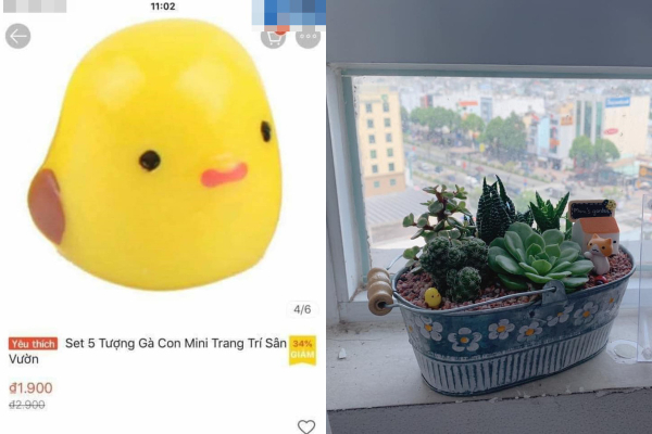 Hào hứng săn sale, cô gái nhận về cái kết 'đắng lòng'