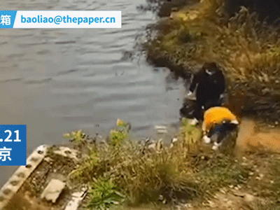 Bất ngờ ngã xuống hồ khi đang cột dây giày, người phụ nữ níu theo bạn thân khiến cả 2 chết thảm, chân tướng đằng sau khiến ai cũng hoảng sợ