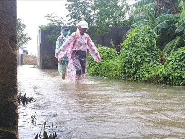 Quảng Nam, Đà Nẵng gửi công văn khẩn cho học sinh nghỉ học để tránh bão số 9