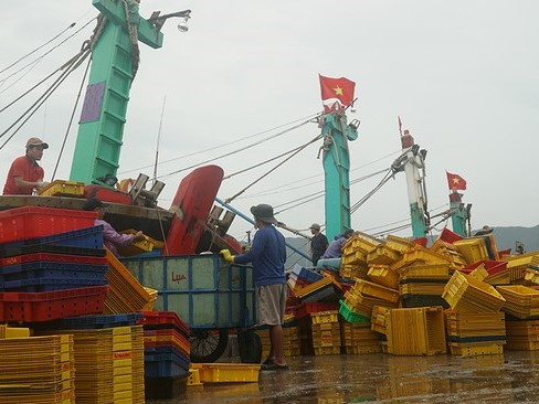 Bình Định: 1 tàu cá bị chìm trên đường tránh bão, 12 thuyền viên mất tích