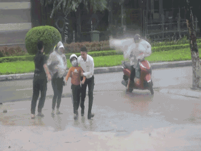 Bão số 9 giật cấp 13 quật ngã cây xanh la liệt, bỏ xe tìm nơi trú ẩn