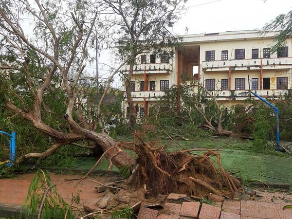 Bão Molave khiến 1,7 triệu hộ bị mất điện