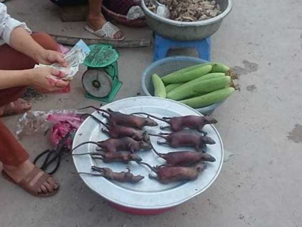 Bán loại thịt 'đáng sợ' nhưng ăn xong thì nghiện, làng ven đô Hà Nội 'hốt bạc' từng ngày