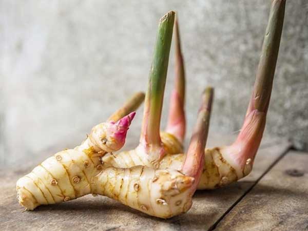 Ở Việt Nam có 3 loại củ 'rẻ như cho' nhưng công dụng lại sánh ngang thuốc quý, loại thứ 2 có thể chống được 8 loại ung thư nhưng ít ai biết