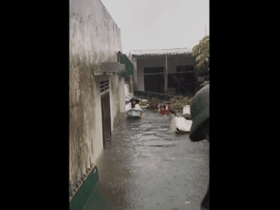 Video ảnh: Cận cảnh lực lượng chức năng bơi vào giải cứu người ra khỏi căn nhà ngập sâu ở thành phố Vinh