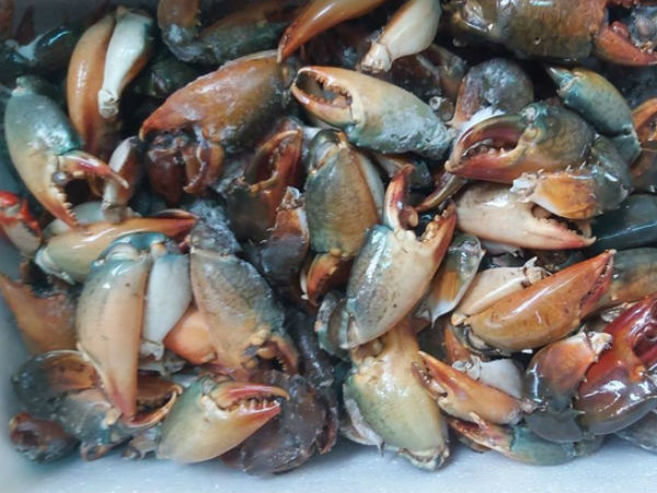 Tiếc thứ gãy rụng từ cua biển, dân buôn gom lại bán rẻ một nửa, khách mua ầm ầm