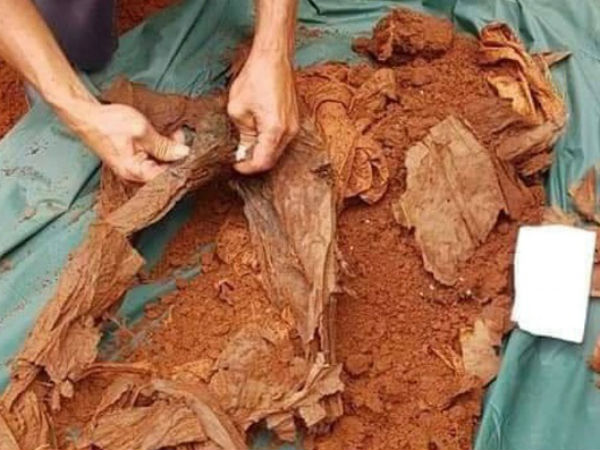 Phát hiện và quy tập 12 hài cốt liệt sĩ tại huyện Lộc Ninh, tỉnh Bình Phước