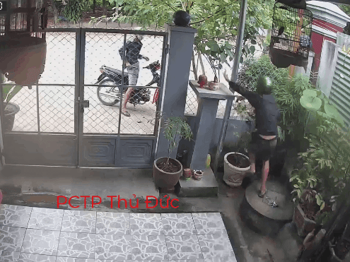 Video: Bị chó dữ đuổi nhảy lên hàng rào, tên trộm tình cờ phát hiện mục tiêu mới và diễn biến bất ngờ sau đó
