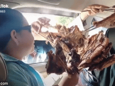Vừa dừng xe hạ kính, nhóm người đã bị 'tấn công' bởi loạt xiên thịt: Không mua khó mà di chuyển