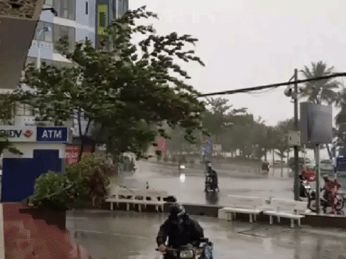 Clip: Bão số 12 quật đổ cây xanh, thổi bay người đi đường