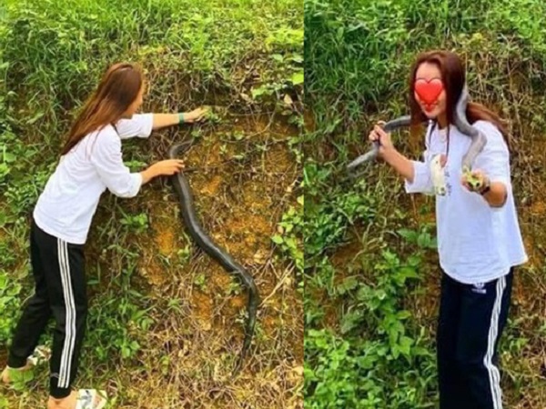 Gái xinh tay không bắt rắn hổ mang nặng gần 2kg cho bố ngâm rượu: 'Về nhà em mới biết nó độc chết người'